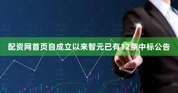 配资网首页自成立以来智元已有12条中标公告