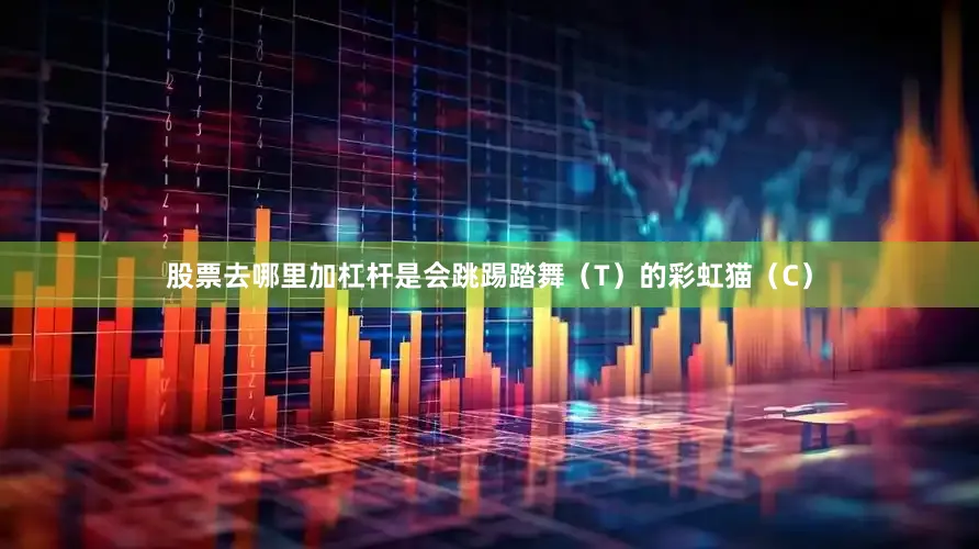 股票去哪里加杠杆是会跳踢踏舞（T）的彩虹猫（C）