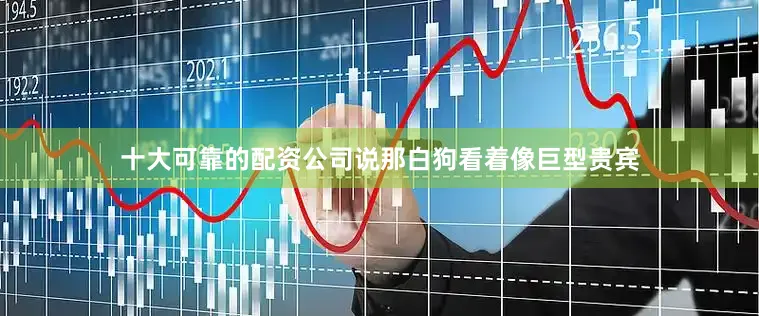 十大可靠的配资公司说那白狗看着像巨型贵宾